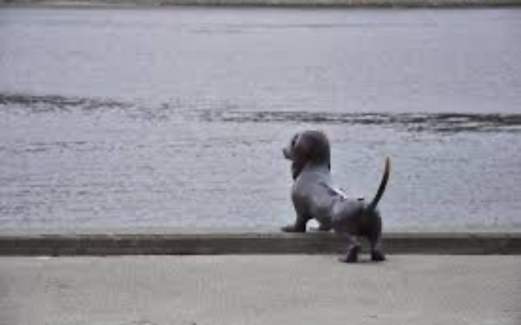 Zbiórka Na sprzęt dla Concordii - zdjęcie główne