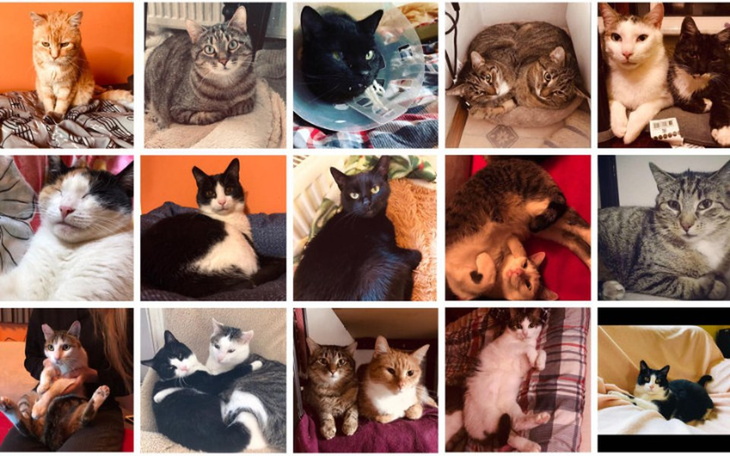 Zbiórka Błagam o pomoc w czasie pandemii - zdjęcie główne