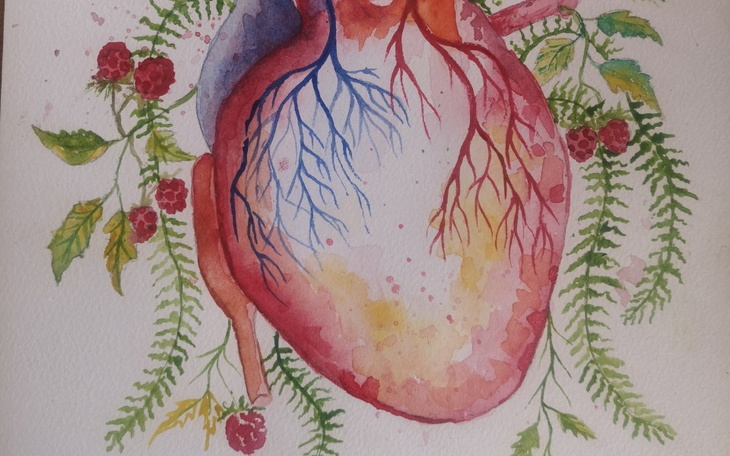 Zbiórka Zbiórka dla Ani Szklarki - zdjęcie główne