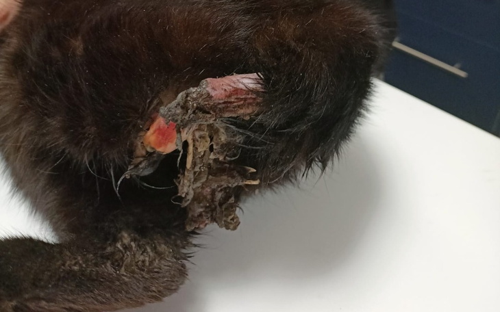 Zbiórka Wnyki i na inne urazy. - zdjęcie główne