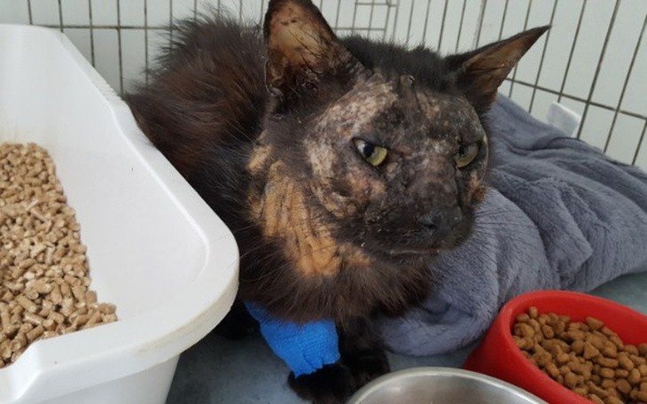 Zbiórka Klatki - ostatnia deska ratunku! - zdjęcie główne