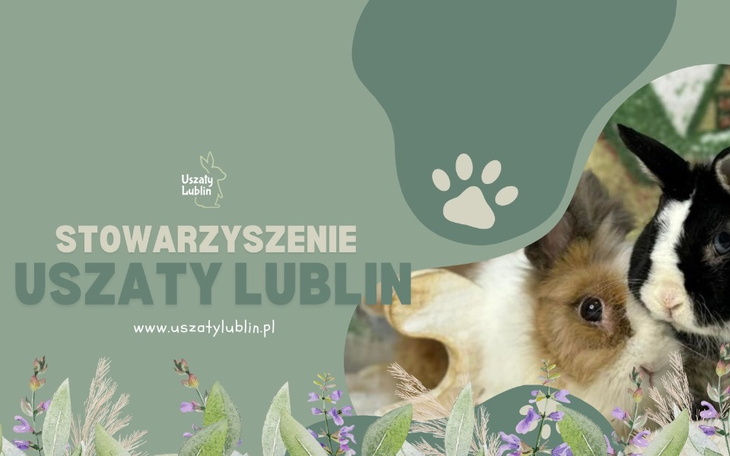 Zbiórka Dobry start dla Uszatego Lublina - zdjęcie główne