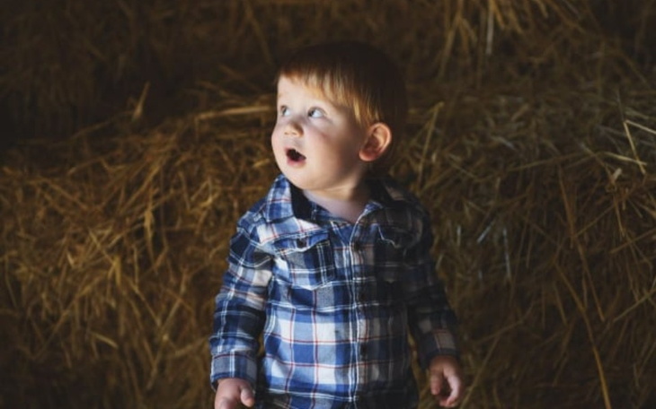 Zbiórka Oczko Rysia - zdjęcie główne