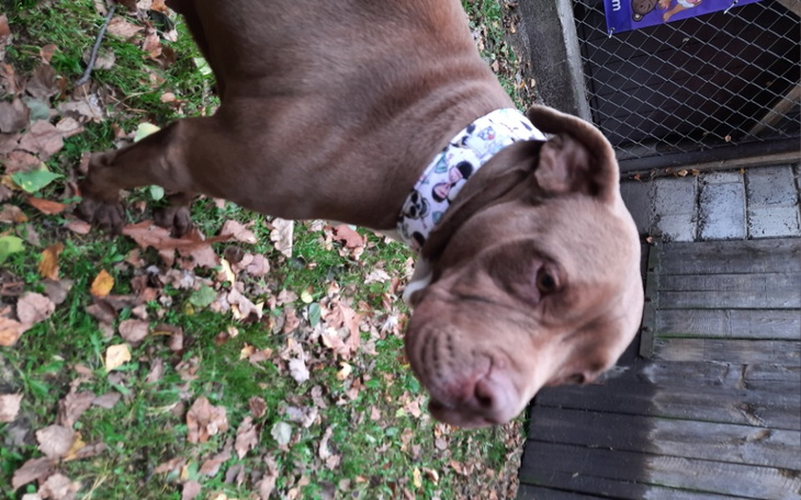 Zbiórka Żelka zaczyna od nowa - PŁB - zdjęcie główne