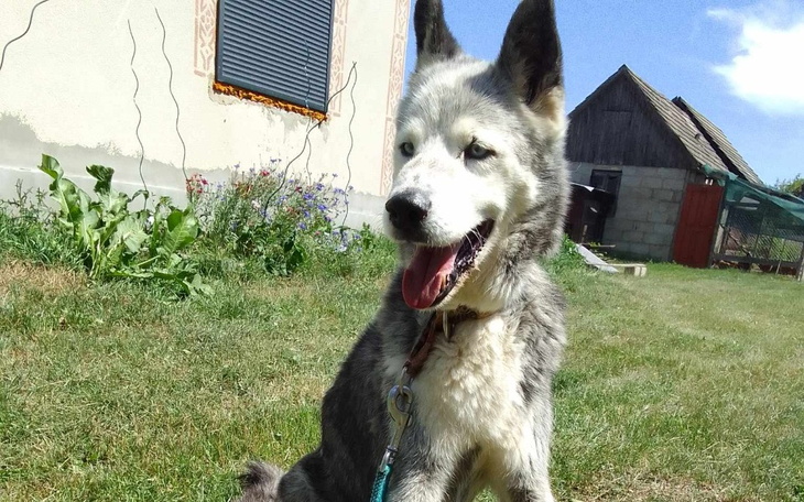 Zbiórka Monte chce chodzić - zdjęcie główne