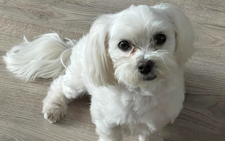 Zbiórka Zbieram na życie, dorzuć się - zdjęcie główne