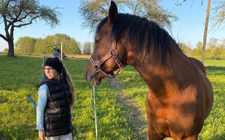 Zbiórka Własny koń córki do jazdy - zdjęcie główne