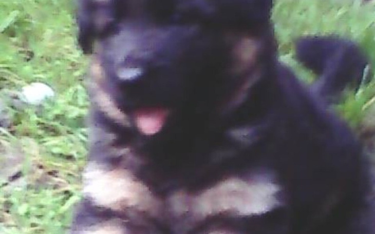 Zbiórka Dla Samotnej Mamy z dziecmi - zdjęcie główne