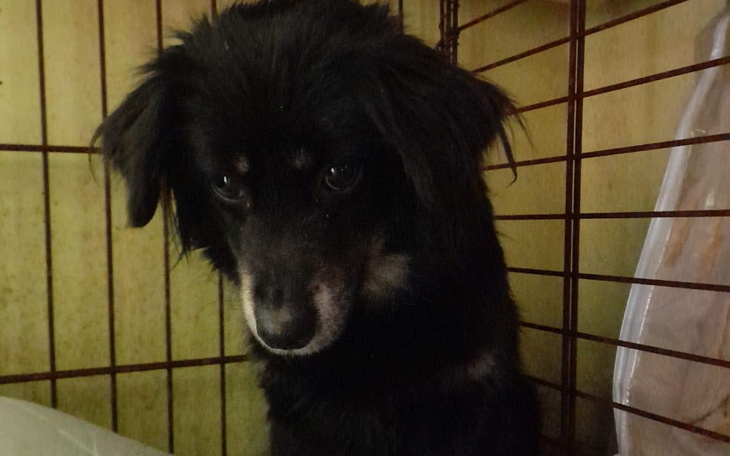 Zbiórka Mambilka zbiera na nowy początek - zdjęcie główne