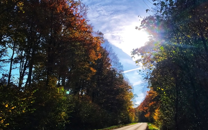 Zbiórka Na lepszy sprzęt fotograficzny - zdjęcie główne