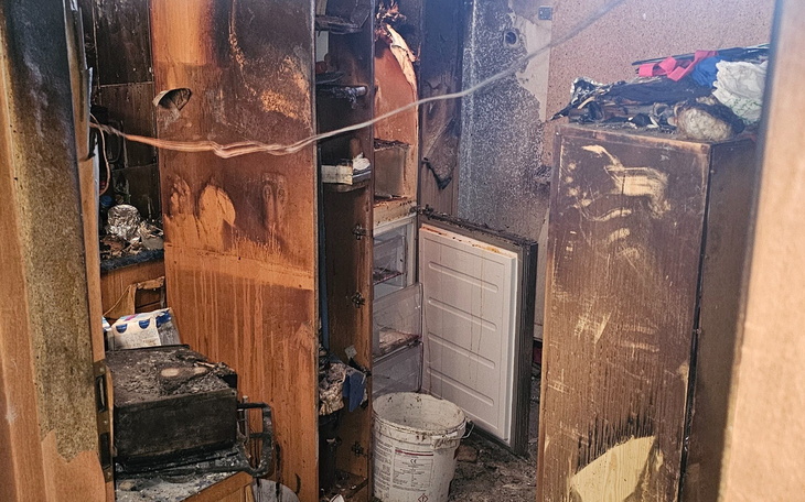 Zbliżenie na zęby kota, z widocznymi problemami zdrowotnymi.