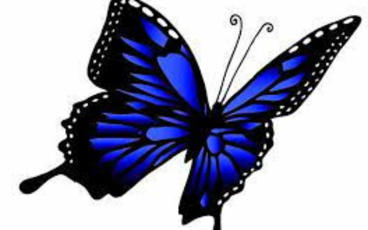 Zbiórka działka Rodo - zdjęcie główne