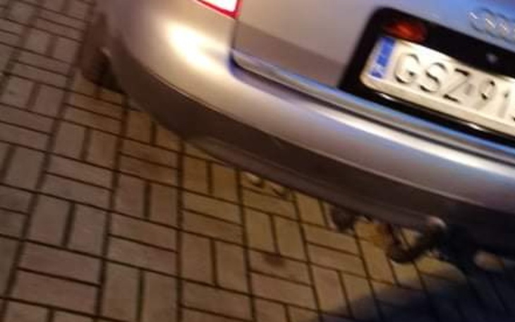 Zbiórka Wyjazd na ferie zimowe - zdjęcie główne