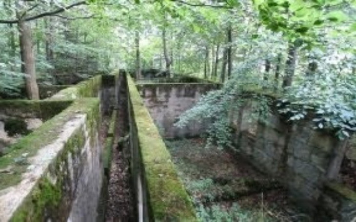 Zbiórka Na cele zabytkowe i ich odnowe - zdjęcie główne