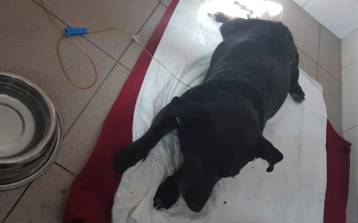 Zbiórka Zbieramy na REZONANS mamy 24h - zdjęcie główne