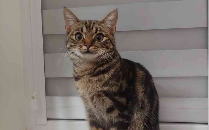 Zbiórka Na leczenie małej - zdjęcie główne