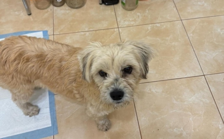 Zbiórka Pomóc Riko - zdjęcie główne