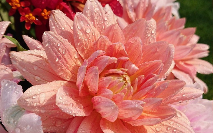 Zbiórka Proszę... Błagam - zdjęcie główne