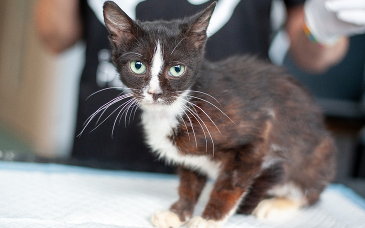 Zbiórka Mruczarnia sierpień 2023 - zdjęcie główne