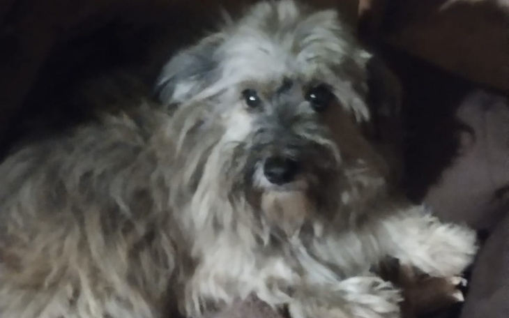 Zbiórka Pomóż mi stanąć na nogi,operacja - zdjęcie główne