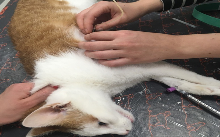 Zbiórka Znow zadrwil ze mnie los - zdjęcie główne