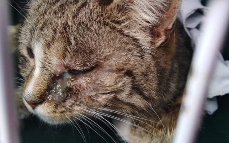 Zbiórka SZANSA dla Gabrysi - zdjęcie główne