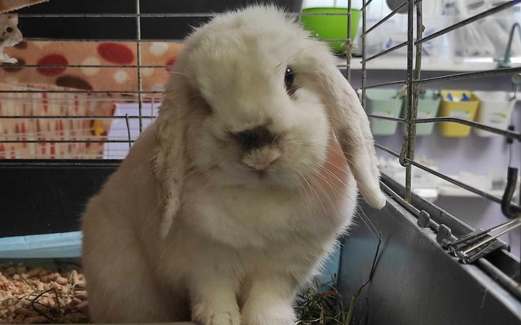 Zbiórka Teoś chciał żyć - zdjęcie główne