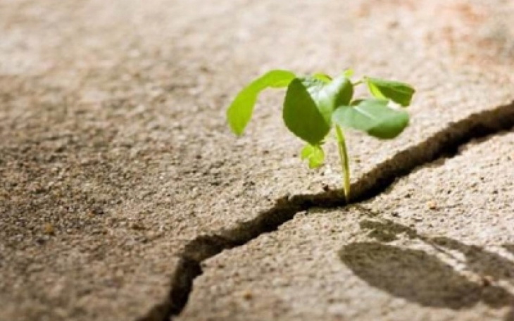 Zbiórka For my new life - zdjęcie główne