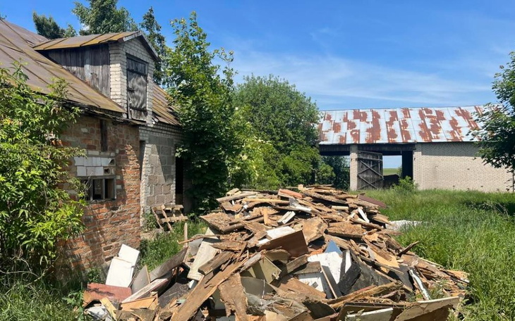 Zbiórka Maluchy z opuszczonej posesji - zdjęcie główne