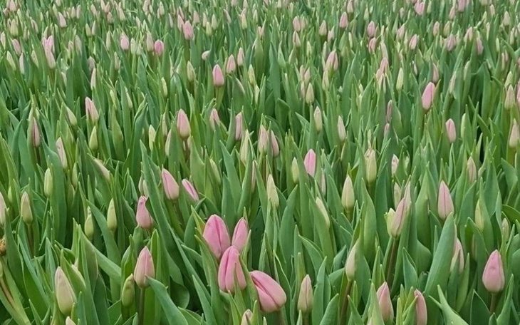 Zbiórka Maly gest dla kobiet z Ukrainy - zdjęcie główne