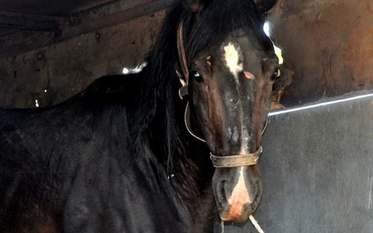 Zbiórka Stary Bajkał potrzebuje pomocy. - zdjęcie główne