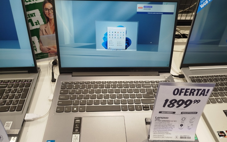 Winnice w słoneczny dzień, piękny krajobraz.