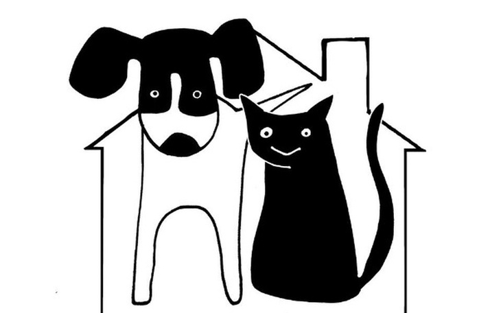 Zbiórka Wsparcie dla Bezdomniaków - zdjęcie główne