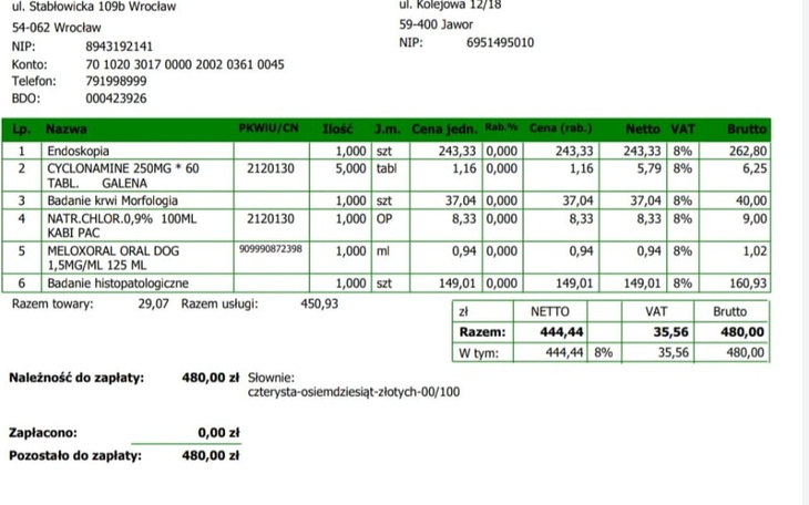 Zbiórka Diagnostyka Rokiego - zdjęcie główne