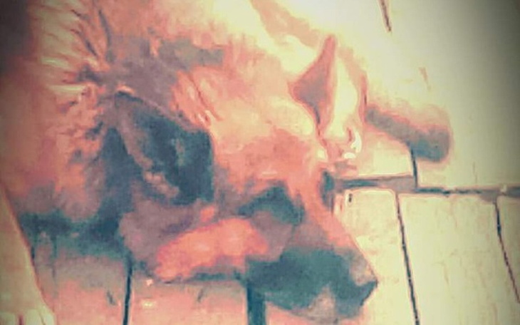 Zbiórka Timon 15 lat - zdjęcie główne