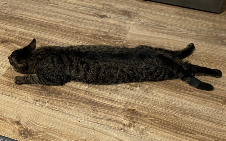 Zbiórka Na zadłużenie proszę o pomoc - zdjęcie główne