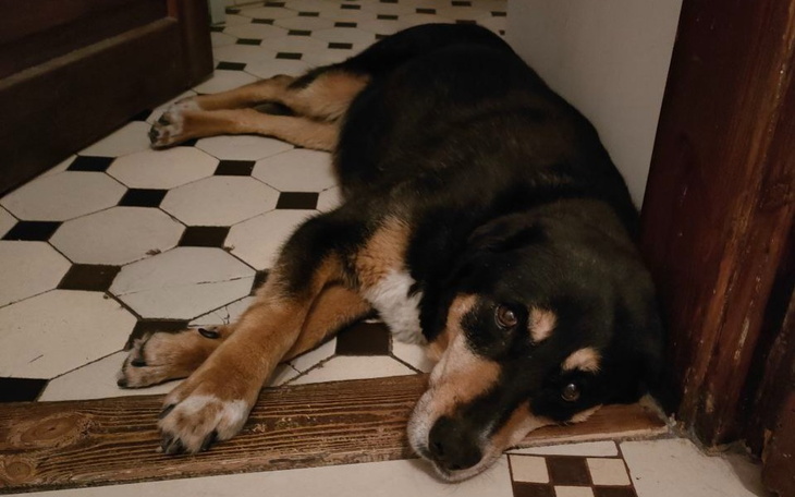 Zbiórka Operacja Kariny - zdjęcie główne