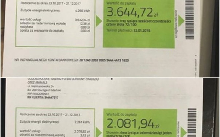 Zbiórka Pomóż spłacić nam faktury - zdjęcie główne