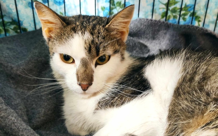 Zbiórka Frugo - walka o życie - zdjęcie główne