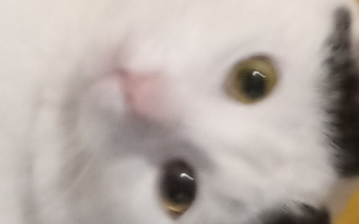 Zbiórka Długi młodości - zdjęcie główne