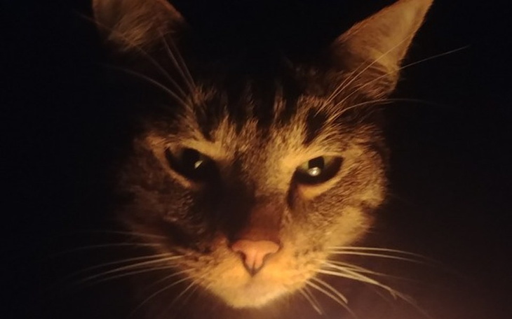 Zbiórka Kaloryfery do domu przed zimą - zdjęcie główne