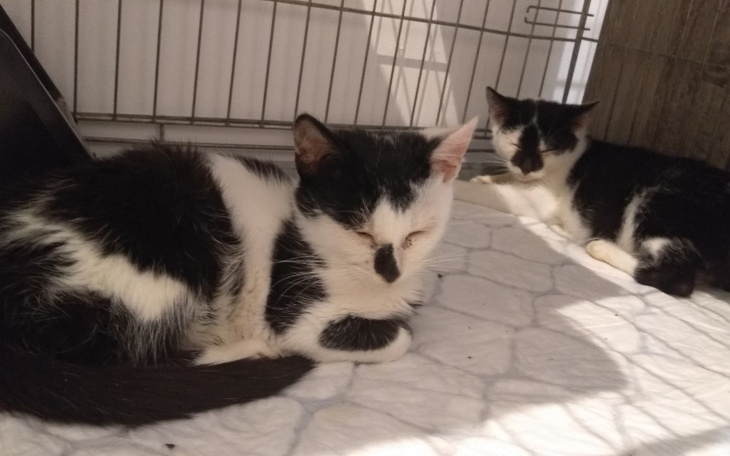 Zbiórka Dajmy im szansę na lepsze życie. - zdjęcie główne