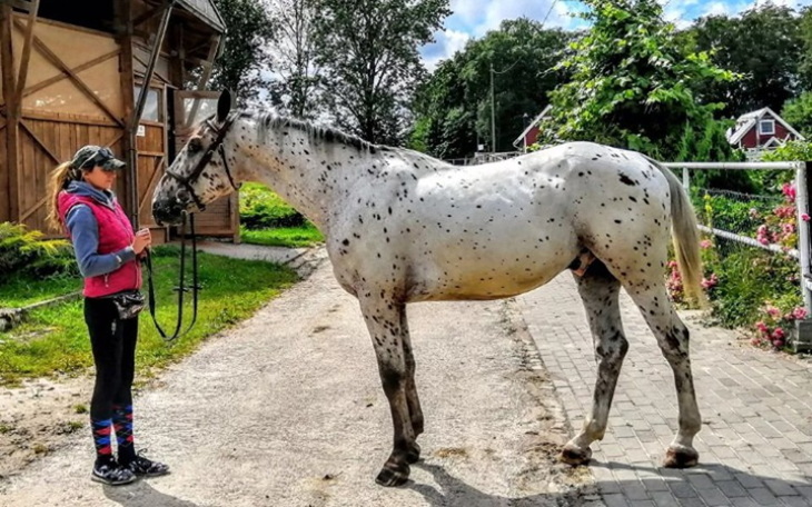 Zbiórka zbiórka na marzenia ❤ - zdjęcie główne
