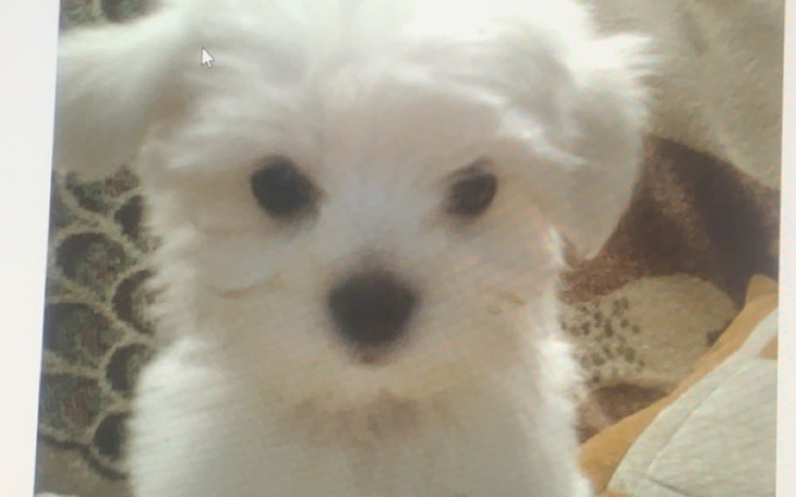 Zbiórka Zrzuta na węgiel do meliny - zdjęcie główne