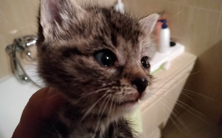 Zbiórka Mała Spinka prosi o pomoc - zdjęcie główne