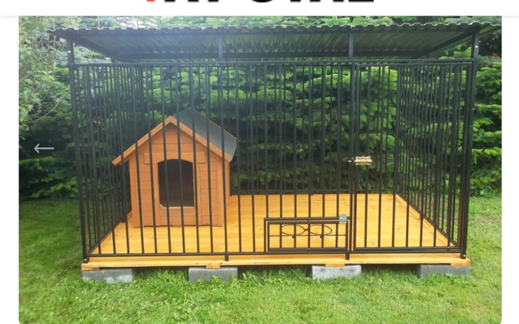 Zbiórka Domy dla Psiaków - zdjęcie główne