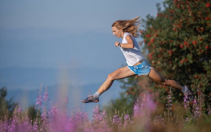 Zbiórka Kalendarz ULTRA dla zwierzaków - zdjęcie główne