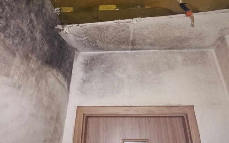 Zbiórka Remont upragnionego mieszkania - zdjęcie główne