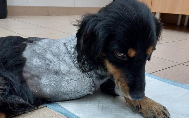 Noworodek leżący na poduszce, patrzy w górę.