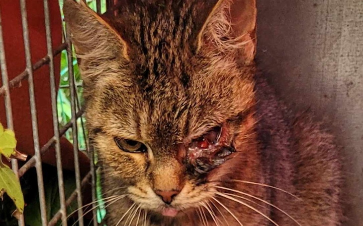 Zbiórka 900 zł za uratowane życie - zdjęcie główne